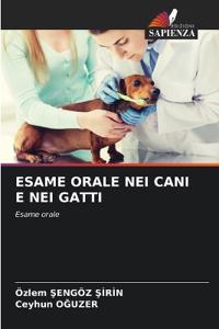 Esame Orale Nei Cani E Nei Gatti