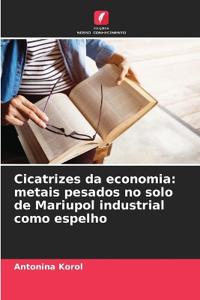 Cicatrizes da economia