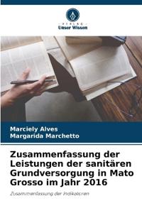 Zusammenfassung der Leistungen der sanitären Grundversorgung in Mato Grosso im Jahr 2016