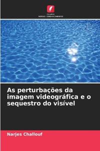 As perturbações da imagem videográfica e o sequestro do visível