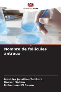 Nombre de follicules antraux