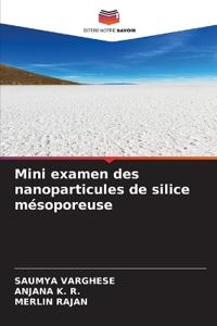 Mini examen des nanoparticules de silice mésoporeuse