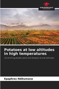 Potatoes at low altitudes in high temperatures