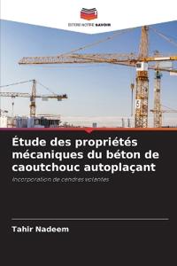 Étude des propriétés mécaniques du béton de caoutchouc autoplaçant
