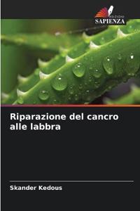 Riparazione del cancro alle labbra