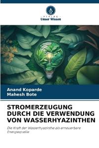 Stromerzeugung Durch Die Verwendung Von Wasserhyazinthen