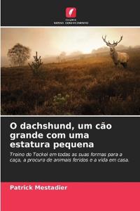 O dachshund, um cão grande com uma estatura pequena