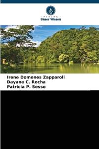 Einzugsgebiet des Paranapanema, Brasilien