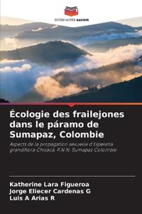 Écologie des frailejones dans le páramo de Sumapaz, Colombie