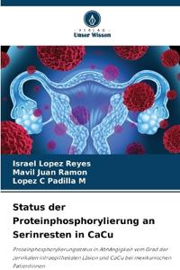 Status der Proteinphosphorylierung an Serinresten in CaCu