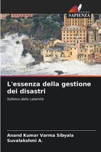 L'essenza della gestione dei disastri