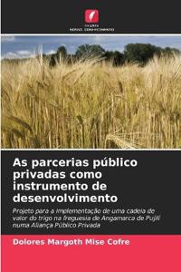 As parcerias público privadas como instrumento de desenvolvimento