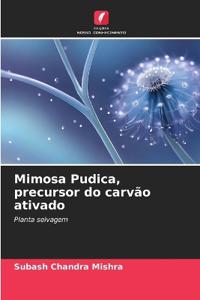 Mimosa Pudica, precursor do carvão ativado