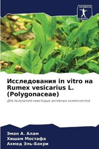Исследования in vitro на Rumex vesicarius L. (Polygonaceae)