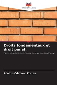 Droits fondamentaux et droit pénal