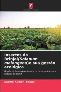 Insectos da Brinjal(Solanum melongena)e sua gestão ecológica