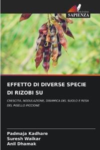 Effetto Di Diverse Specie Di Rizobi Su