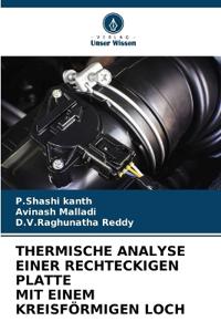 Thermische Analyse Einer Rechteckigen Platte Mit Einem Kreisförmigen Loch