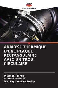 Analyse Thermique d'Une Plaque Rectangulaire Avec Un Trou Circulaire