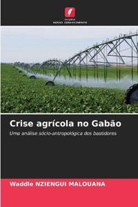 Crise agrícola no Gabão
