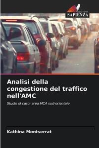 Analisi della congestione del traffico nell'AMC