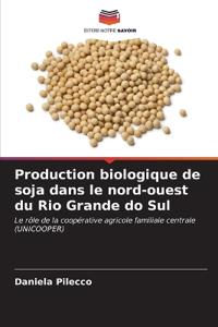 Production biologique de soja dans le nord-ouest du Rio Grande do Sul