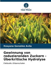 Gewinnung von reduzierenden Zuckern - Überkritische Hydrolyse