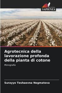 Agrotecnica della lavorazione profonda della pianta di cotone