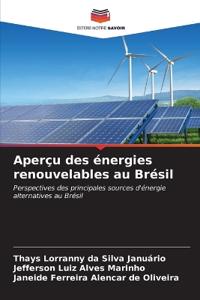 Aperçu des énergies renouvelables au Brésil
