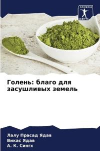Голень