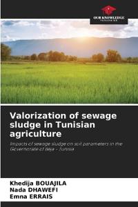 Valorization of sewage sludge in Tunisian agriculture
