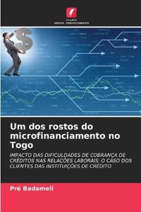 Um dos rostos do microfinanciamento no Togo