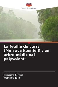 La feuille de curry (Murraya koenigii)