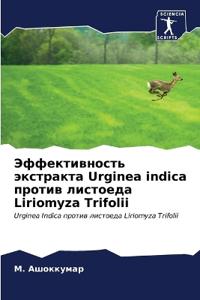 ????????????? ????????? Urginea indica ?????? ??????
