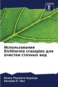 ????????????? Eichhornia crasspies ??? ??????? ??????? ???