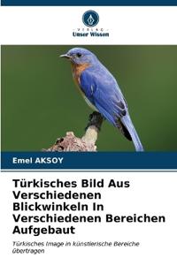 Türkisches Bild Aus Verschiedenen Blickwinkeln In Verschiedenen Bereichen Aufgebaut