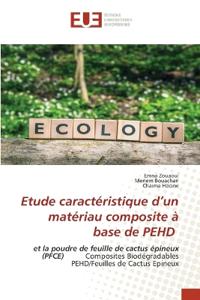 Etude caractéristique d'un matériau composite à base de PEHD
