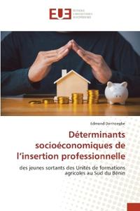 Déterminants socioéconomiques de l'insertion professionnelle