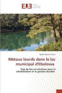Métaux lourds dans le lac municipal d'Ebolowa