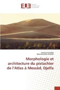Morphologie et architecture du pistachier de l'Atlas à Messâd, Djelfa