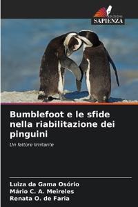Bumblefoot e le sfide nella riabilitazione dei pinguini