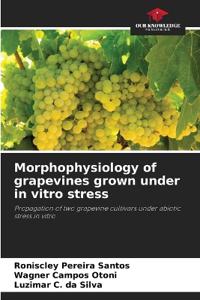 Morphophysiology of grapevines grown under in vitro stress