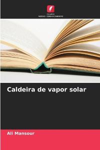 Caldeira de vapor solar
