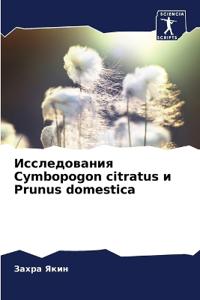 ???????????? Cymbopogon citratus ? Prunus domestica
