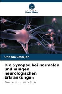 Die Synapse bei normalen und einigen neurologischen Erkrankungen
