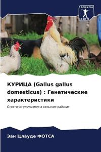 ?????? (Gallus gallus domesticus)