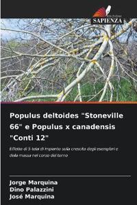 Populus deltoides "Stoneville 66" e Populus x canadensis "Conti 12"