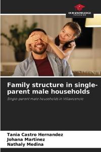 Family structure in single-parent male households