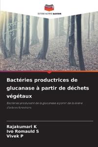 Bactéries productrices de glucanase à partir de déchets végétaux