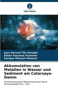 Akkumulation von Metallen in Wasser und Sediment am Cotarsaya-Damm